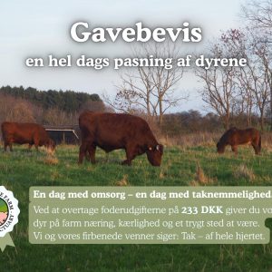 Julegave bevis