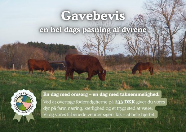 Julegave bevis