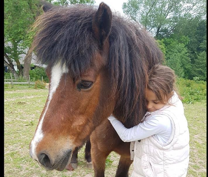 Et dyr på farmen